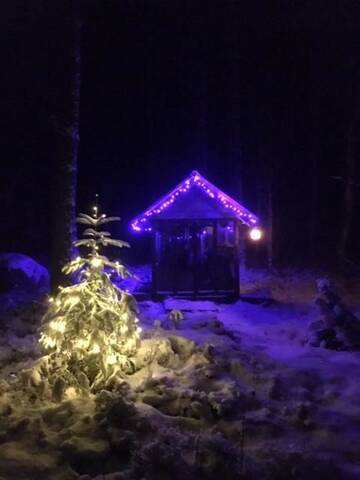 Фото номера Вилла Виллы Villa Nordic Lights г. Rääkkylä 85